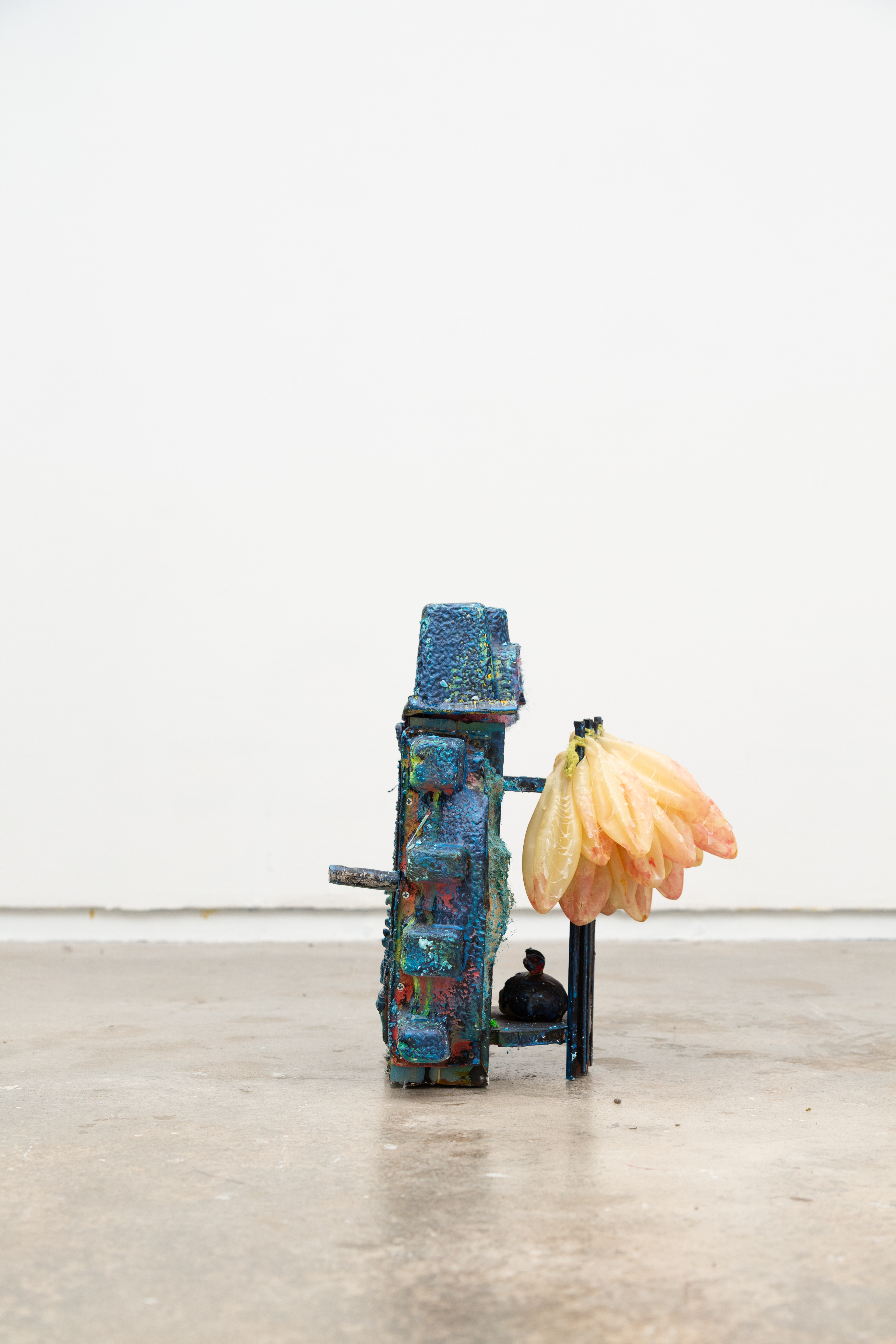 Science Drops New Fish